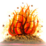 fuoco